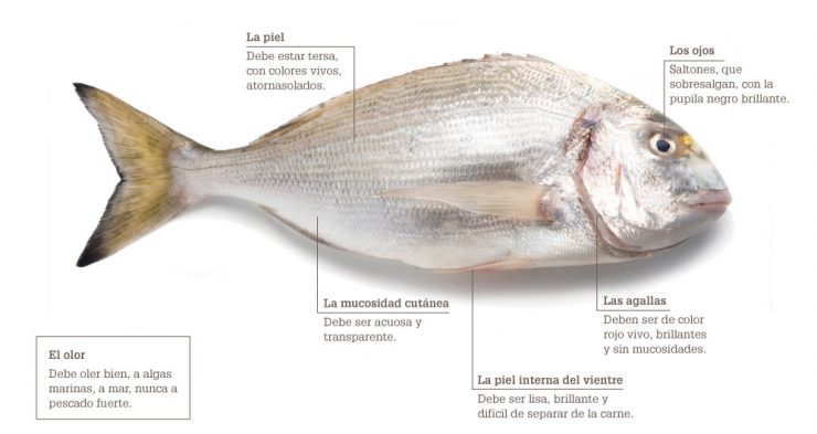 Infografia pescado fresco